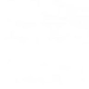 Meet your Posher, Jingxi